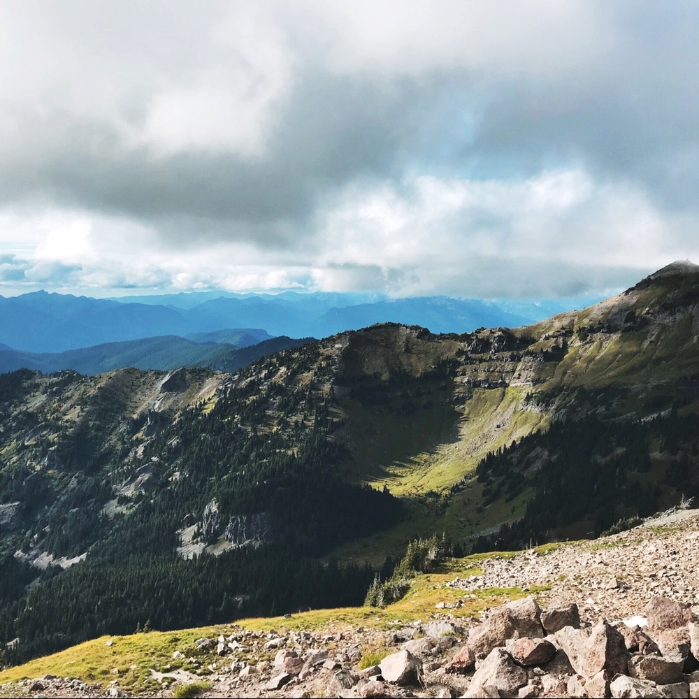 Meet your Posher, Sydney